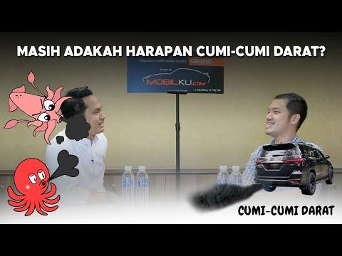 https://img.youtube.com/vi/hNeBHvx_IUc/0.jpg