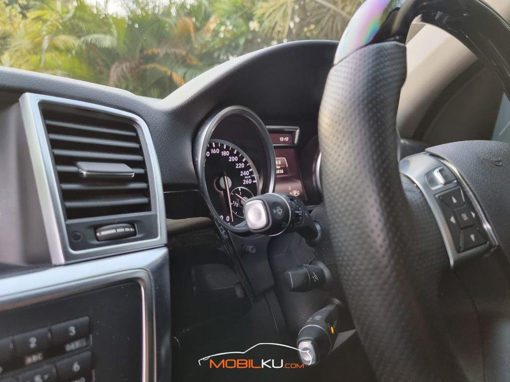 Mobil Mercedes-Benz ML 2014