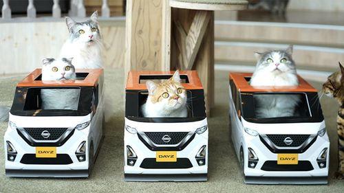 https://mobilku.s3.ap-southeast-3.amazonaws.com/news/500/f1b5f48e-3b22-4b25-bcce-52451e8b37ff.jpg